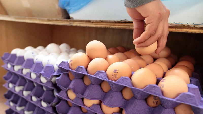 Cofece investiga prácticas monopólicas en el huevo