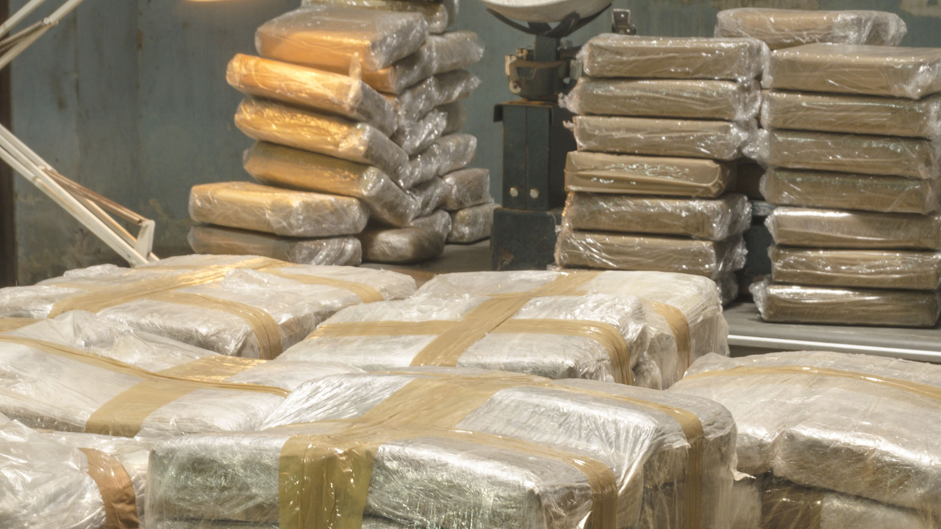 “Impedir que pase droga al país”, el reto de la nueva administradora de la Aduana del AICM