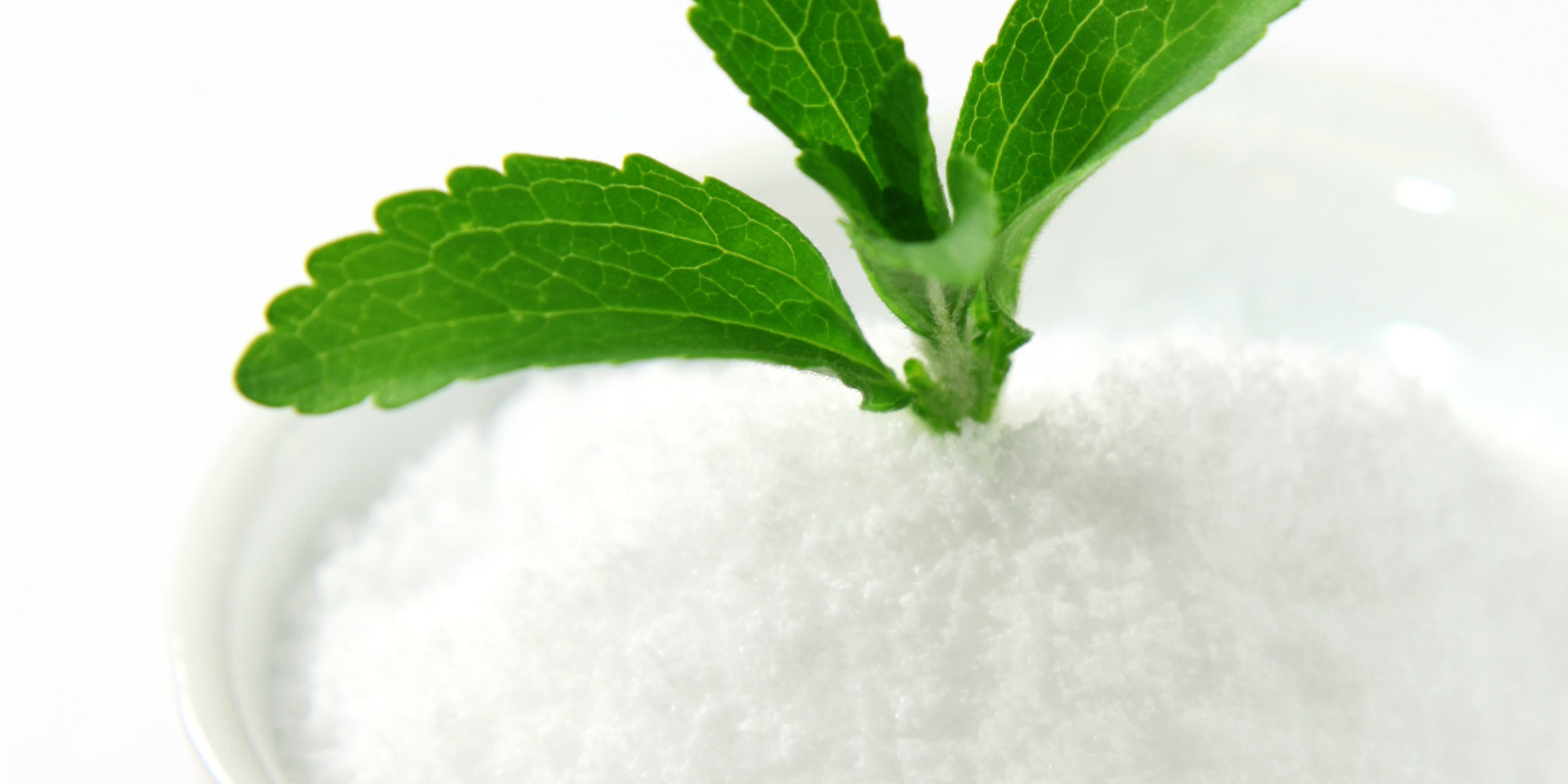 Estudio revela por qué Stevia es más dulce que el azúcar