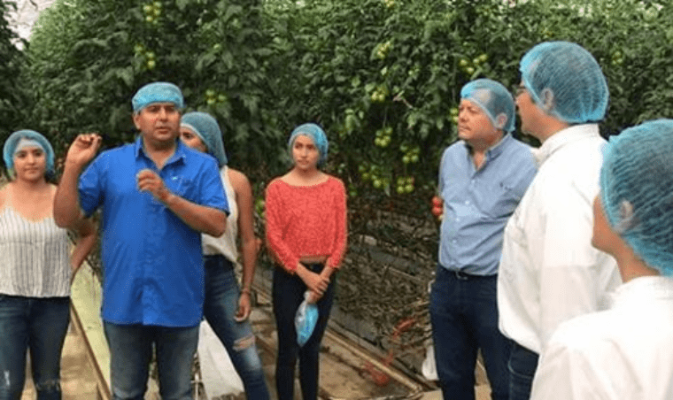 Invernaderos Potosinos dona producción de jitomate para familias vulnerables