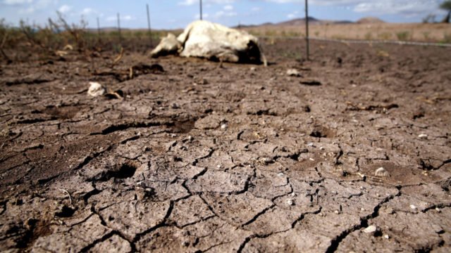 Avanza sequía; cubre 66% del territorio nacional