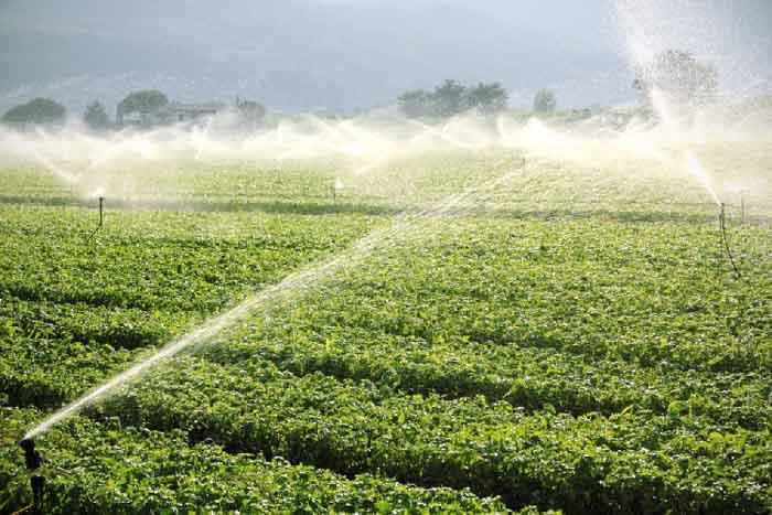 En Nuevo León, 60% del agua concesionada es para el uso agrícola