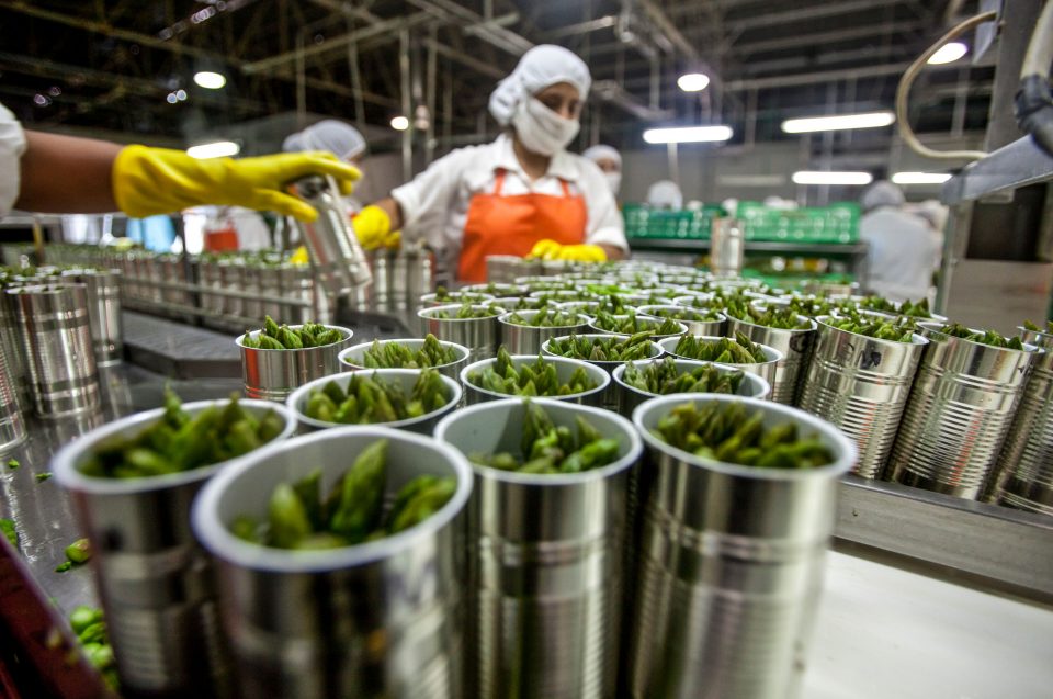 Agroindustria dinamiza las exportaciones alimentarias a junio