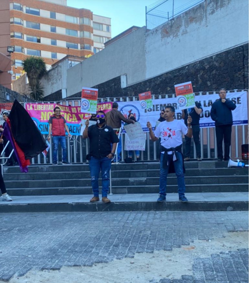 SINTTIA quiere entrar a Frankishe