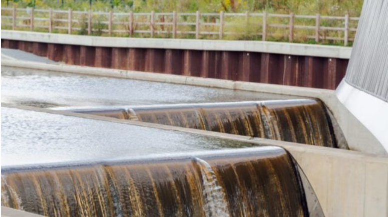 La industria que llegue a Nuevo León debe usar agua tratada: Cintra