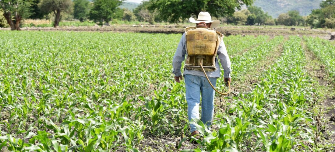 Agricultores de Sinaloa podrían tener nueva reunión con Adán Augusto e industriales