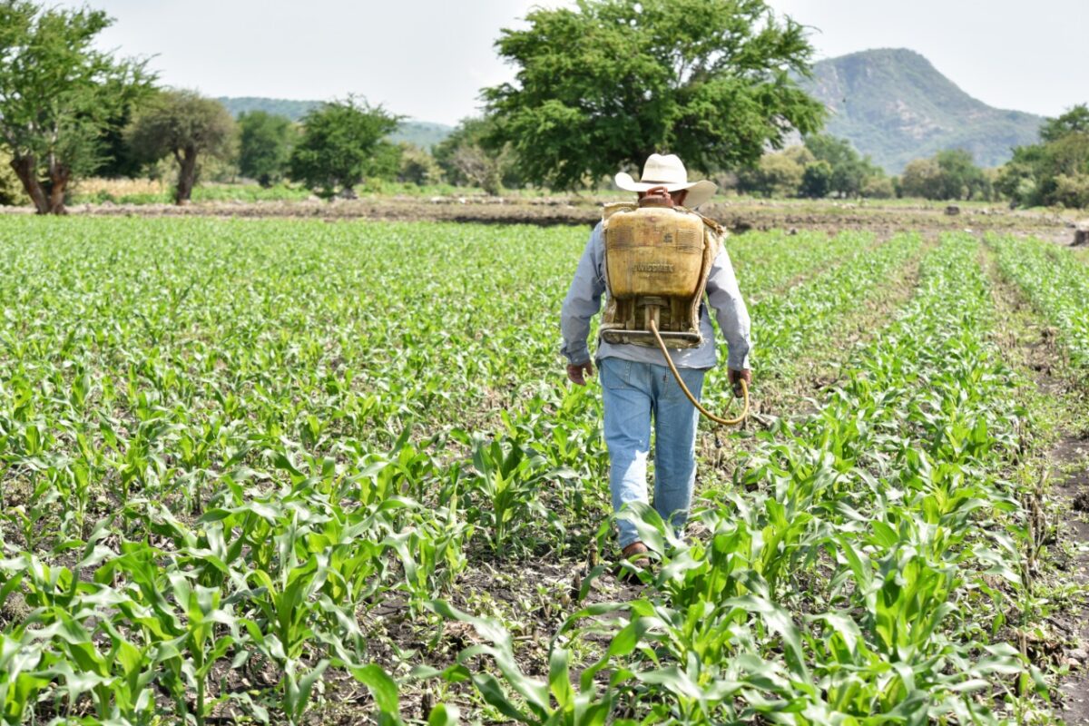Agricultores de Sinaloa podrían tener nueva reunión con Adán Augusto e industriales