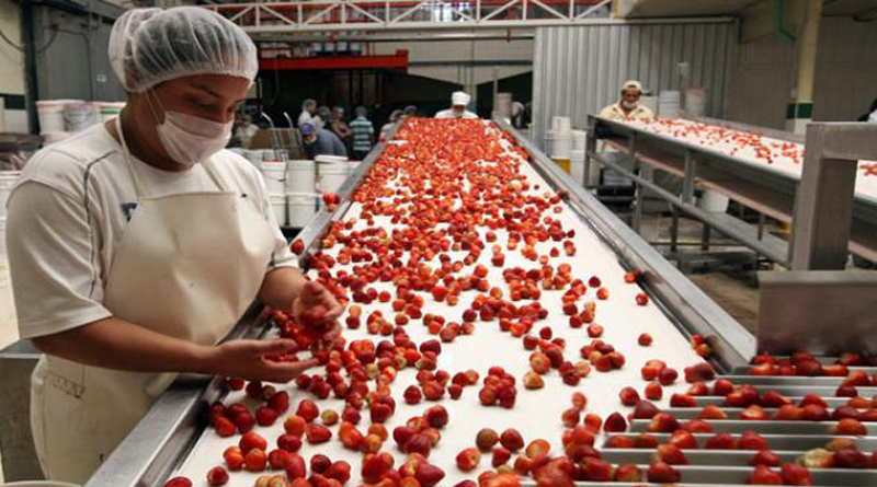 La industria alimentaria en México y  su impacto económico y social