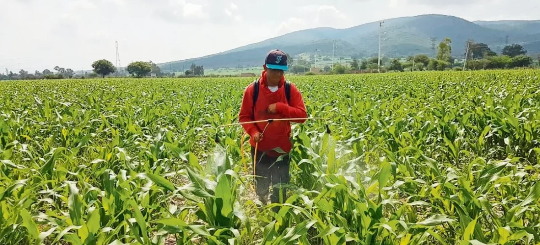 Altos costos e inseguridad golpean a productores  del campo en Jalisco