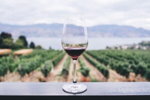 Vitivinícola de Querétaro produce primer vino carbono neutral de México