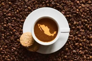 Industria del café en México espera crecimiento del 5 %