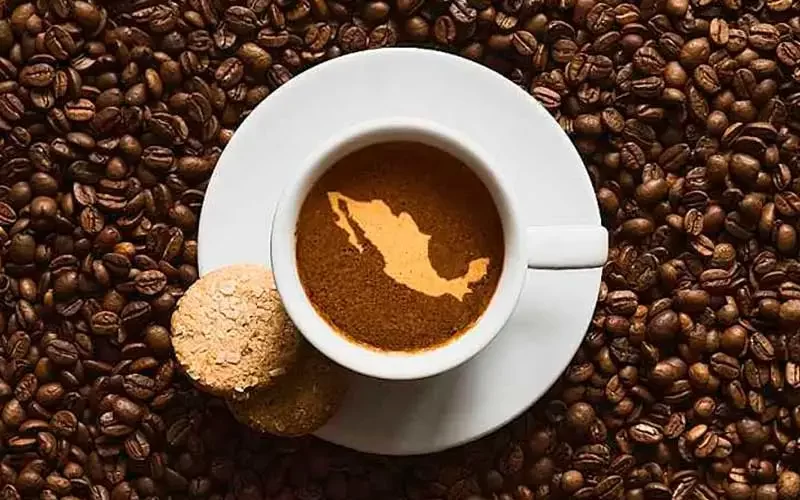 Industria del café en México espera crecimiento del 5 %