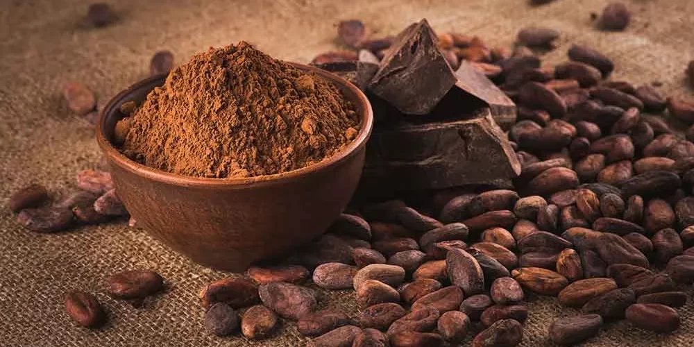 México entre principales exportadores de cacao en polvo y confitería
