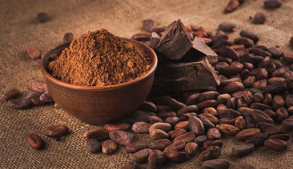 México entre principales exportadores de cacao en polvo y confitería