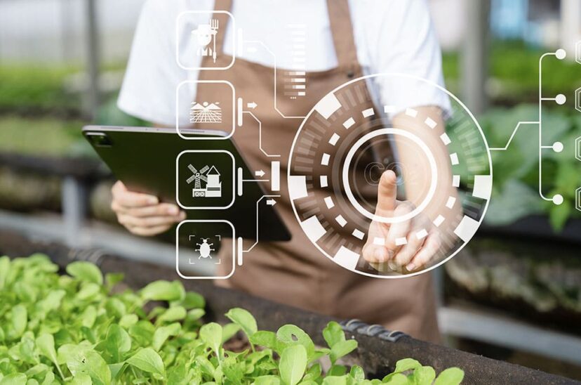 La IA ofrece ventajas a la industria agroalimentaria