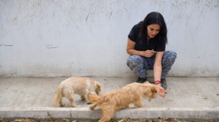 Por el mal manejo como directora de la Brigada de Vigilancia Animal, Lety Varela pierde simpatizantes
