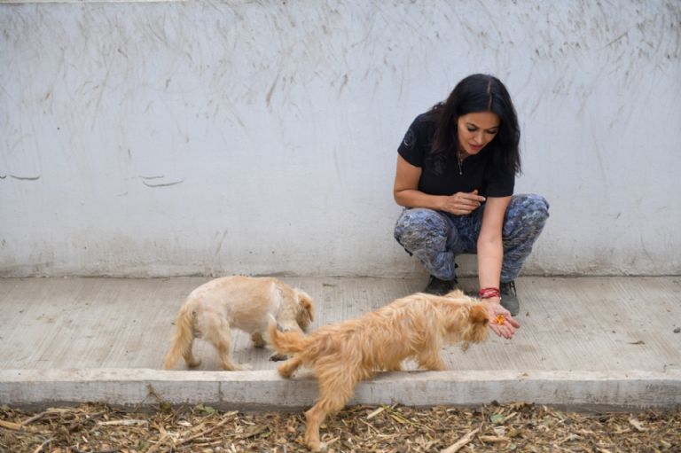 Por el mal manejo como directora de la Brigada de Vigilancia Animal, Lety Varela pierde simpatizantes